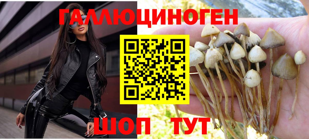 Псилоцибиновые грибы MAGIC MUSHROOMS  Вход с VPN  Кореновск 